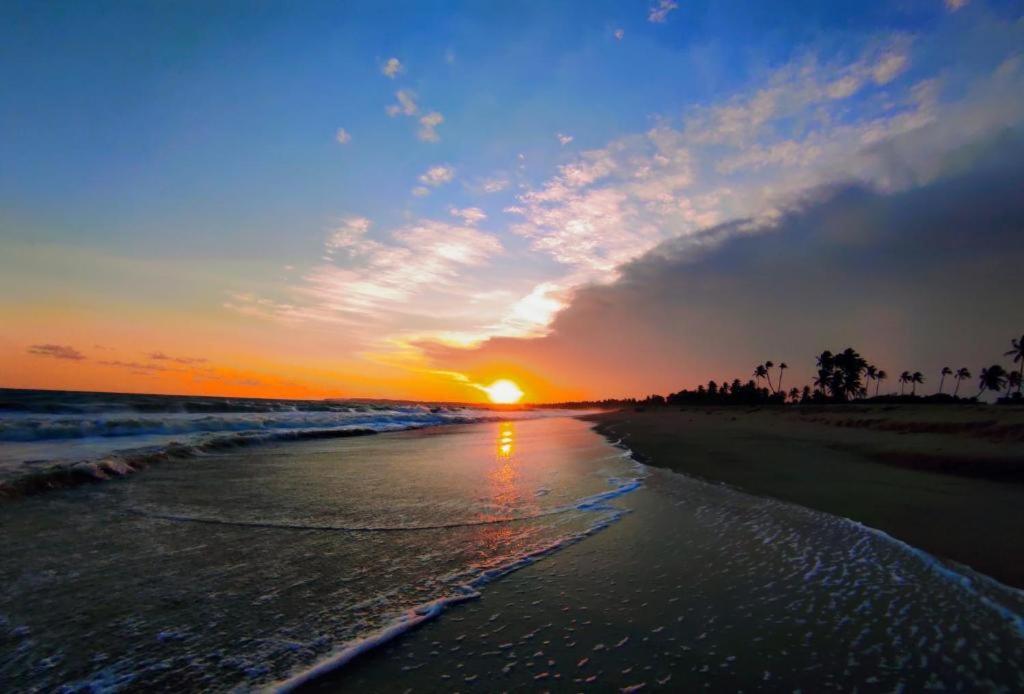 Seagulls Garden Cabanas Tangalle Dış mekan fotoğraf
