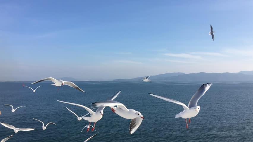 Seagulls Garden Cabanas Tangalle Dış mekan fotoğraf